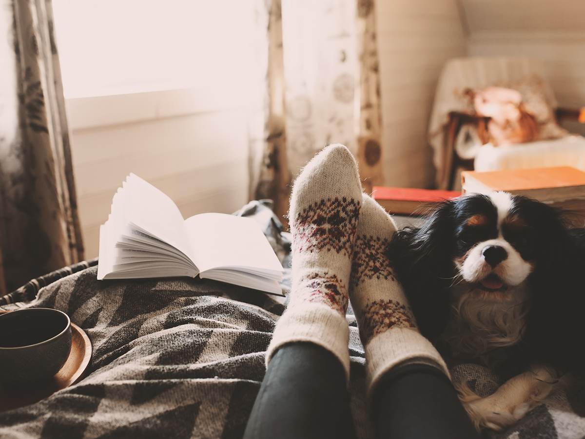 person sitting with dog reading a book